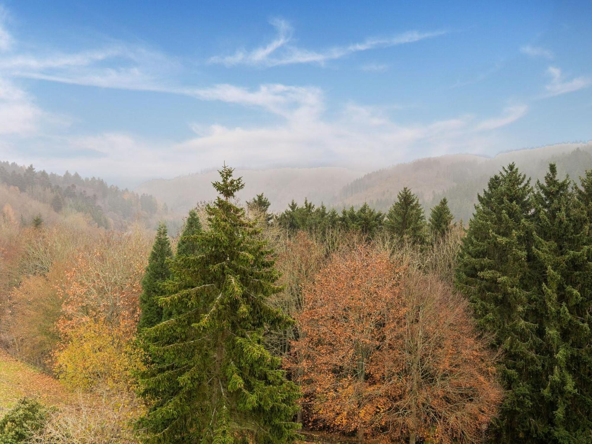 Apartment In Hellenthal With Wellness Oasis Dış mekan fotoğraf
